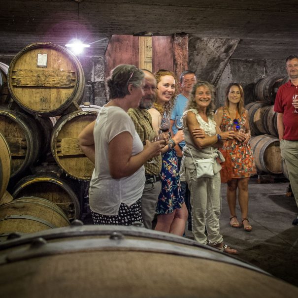 Wine tasting in a cellar in Goriska Brda, Slovenia