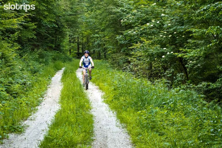 A mountain biker on a smooth gravel road through the beech forest in the Julian Alps, close to Lake Bled