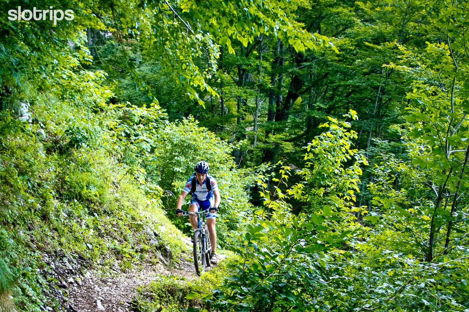 A mountain biker climbing on a nice single trail close to Lake Bled in Slovenia