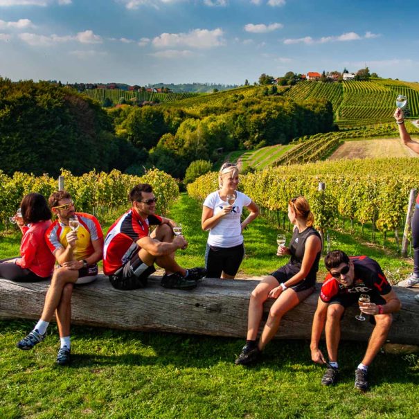 A group of biking travellers having a break and enjoying a glass of local wine in the vineyards in Styria region in Slovenia