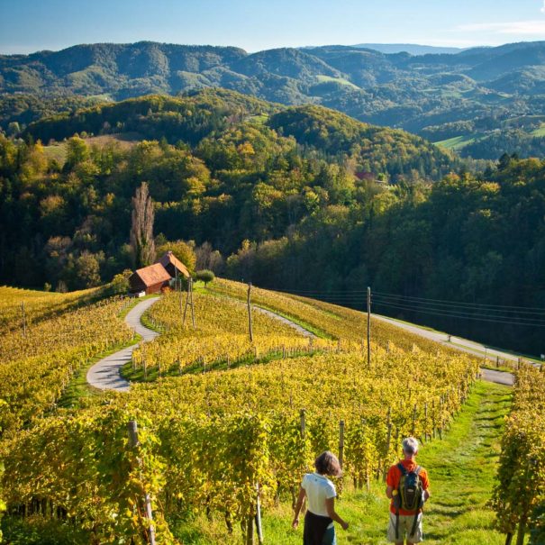 A couple in the vineyard above the heart road in the Styria region in Slovenia on the border with Austria