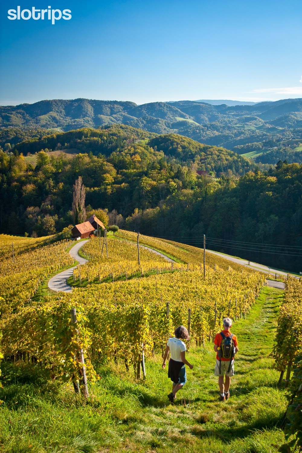 A couple in the vineyard above the heart road in the Styria region in Slovenia on the border with Austria