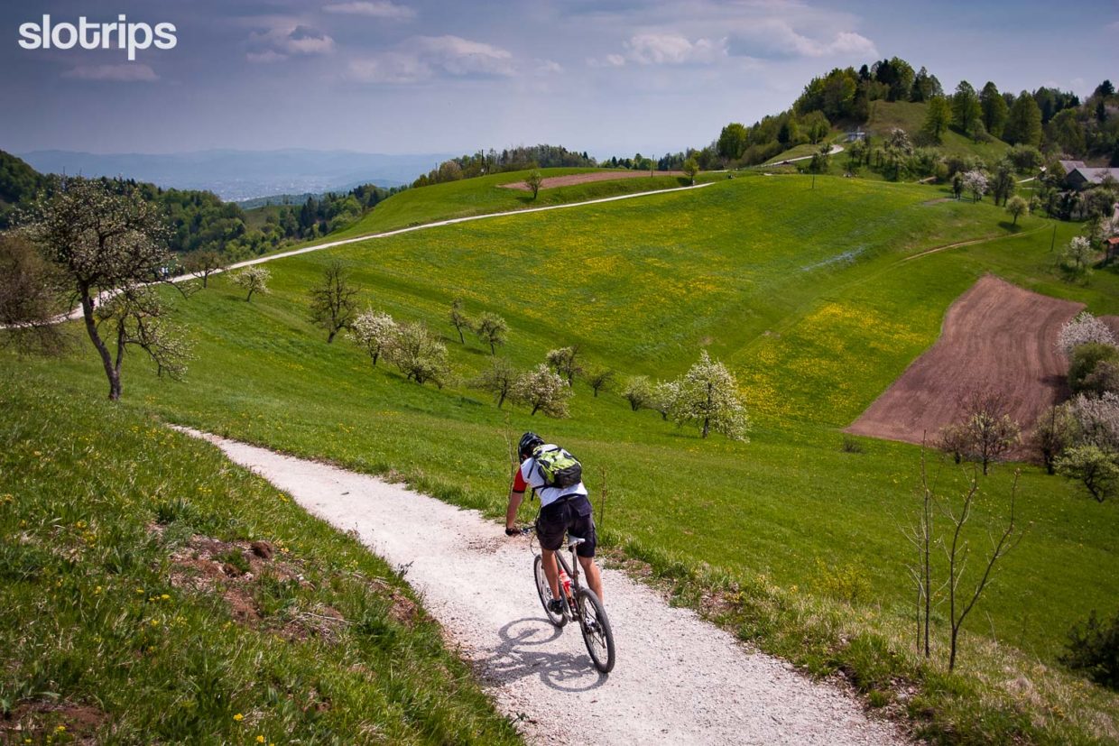 A mountain biker on a descent from Tosko Celo hill with Slovenian capital Ljubljana in the background