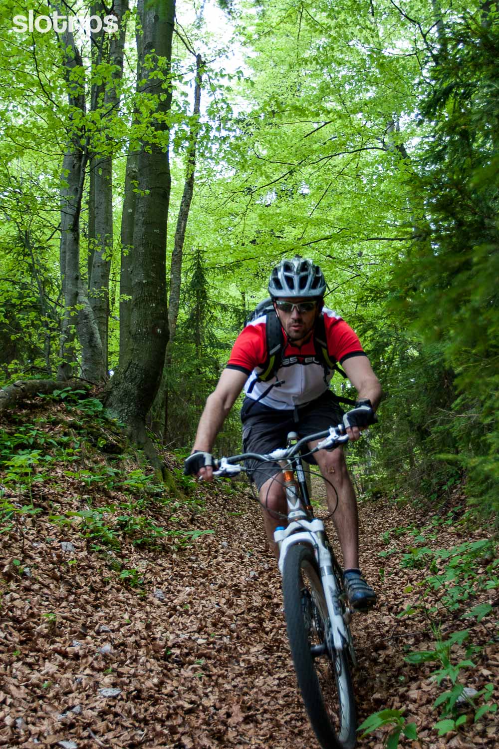 A mountain biker descending on a fast forest road through forests around Ljubljana city centre, Slovenia