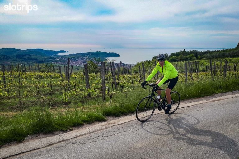 A road cyclist on a low traffic road through vineyards in Slovenian Istria with Adriatic, Strunjan cliffs and the town of Piran in the background