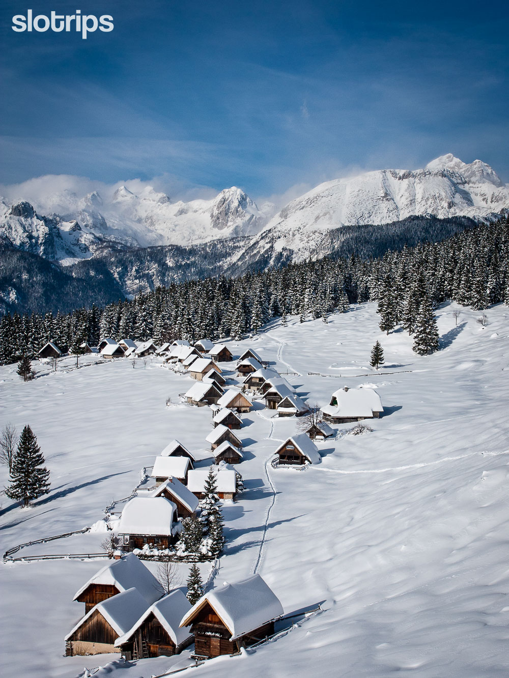 Winter hiking trip views of the snow caped traditional shepherd's cabins on the pastures of Pokljuka plateau with the Julian Alps in the background.
