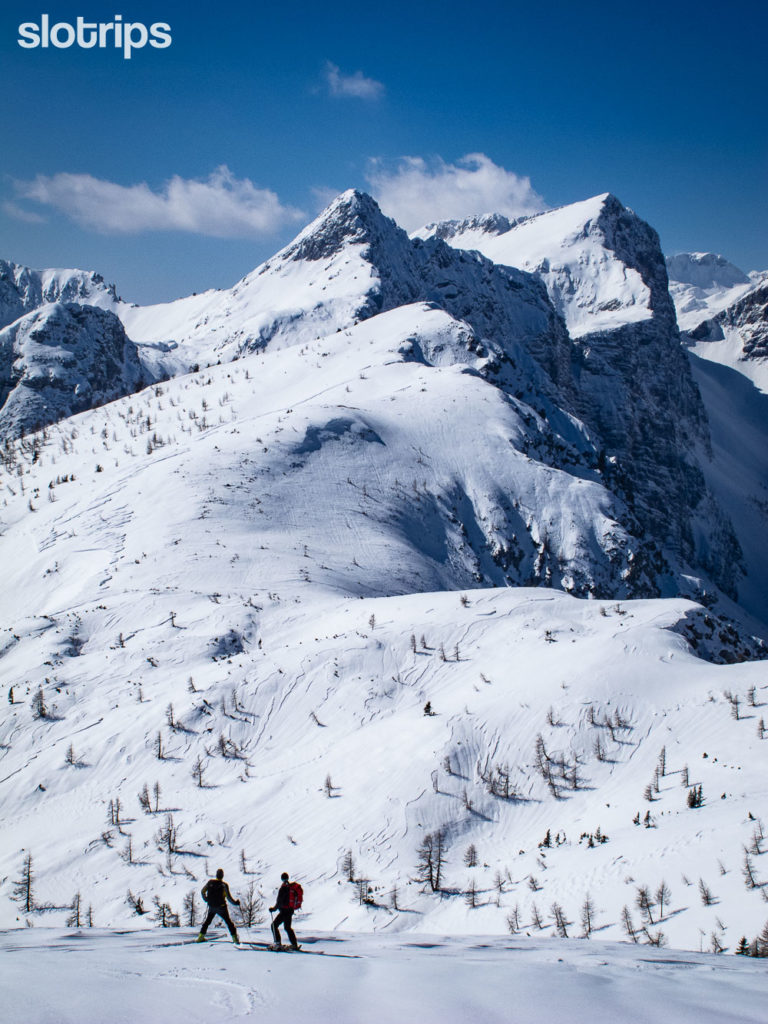 Back country skiers admiring winter fairyland with pointy summits above the Pokljuka plateau.