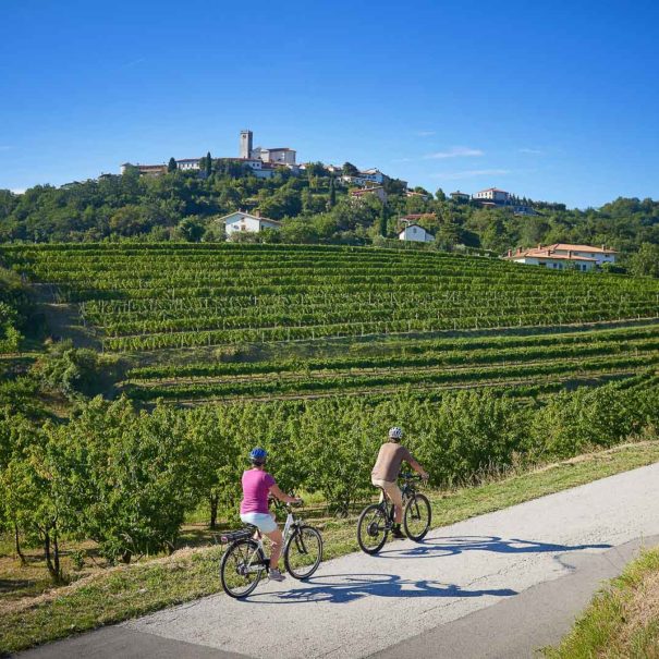 A couple biking on a low traffic asphalt road through the vineyards in Goriska Brda wine hills in Slovenia