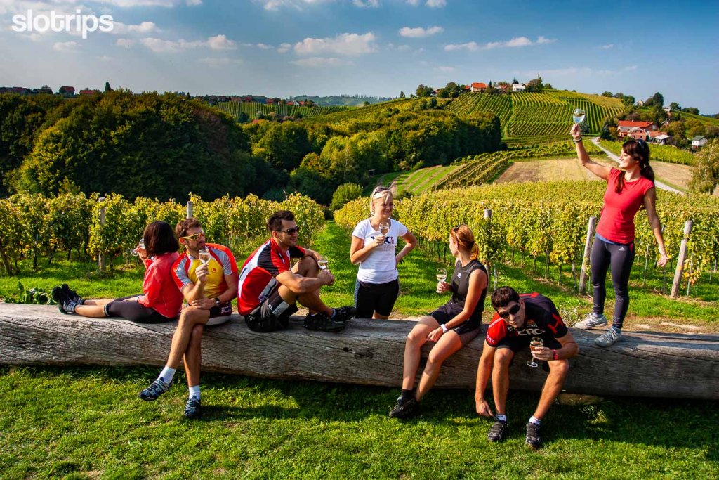 A group of biking travellers having a break and enjoying a glass of local wine in the vineyards in Styria region in Slovenia