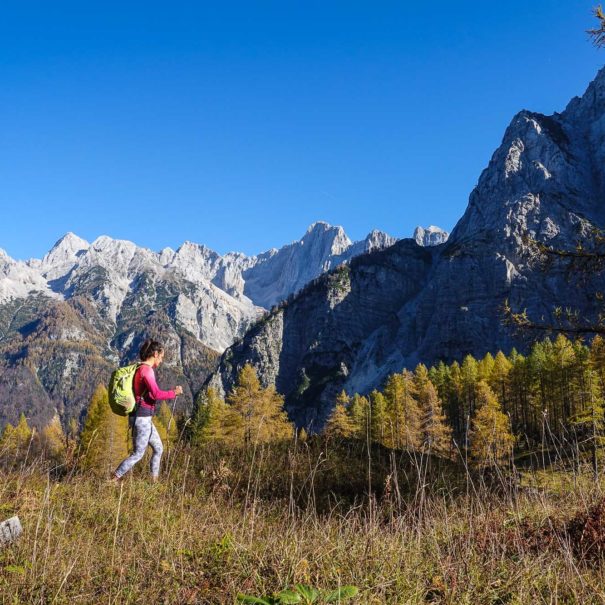 A hiker at Mt. Slemenova spica above the Vrsic pass in the Julian Alps with Mt. Mojstrovka walls in the background