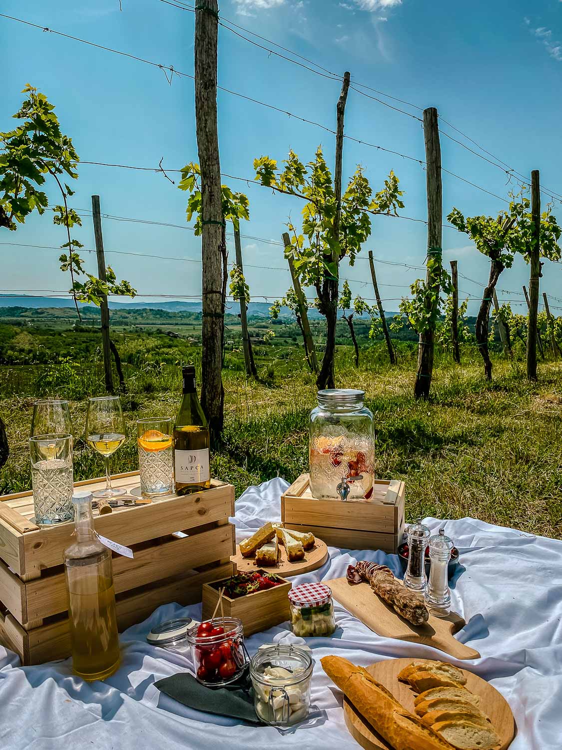A carefully organised wine tasting picnic in an idyllic setting in the vineyards in Goriska Brda wine region in Slovenia