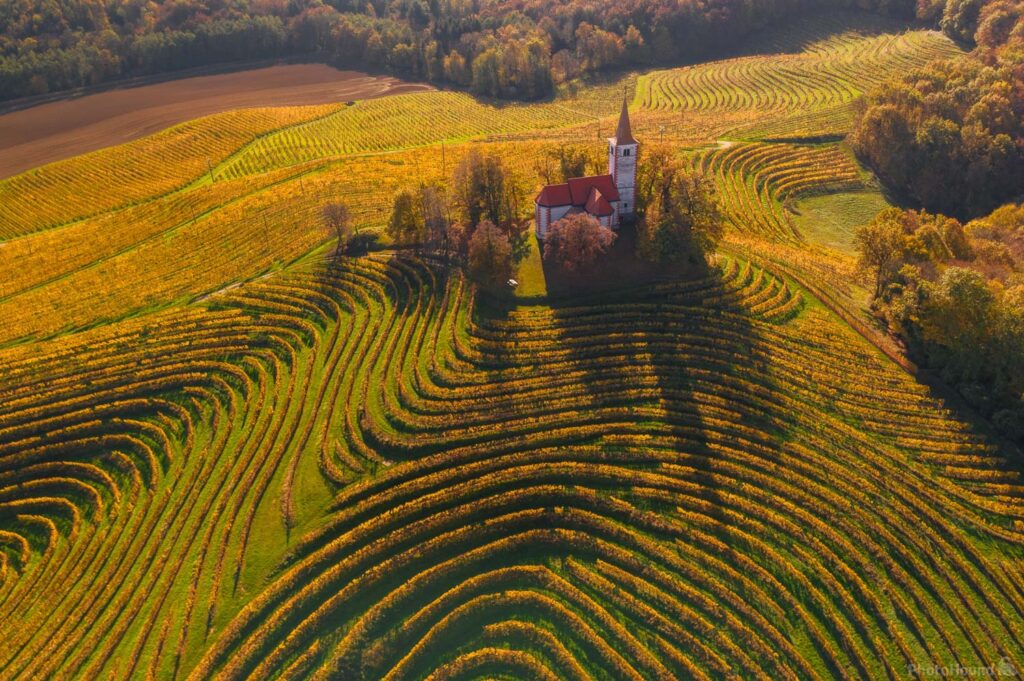 Aerial shot of church and vineyards in eastern Slovenia