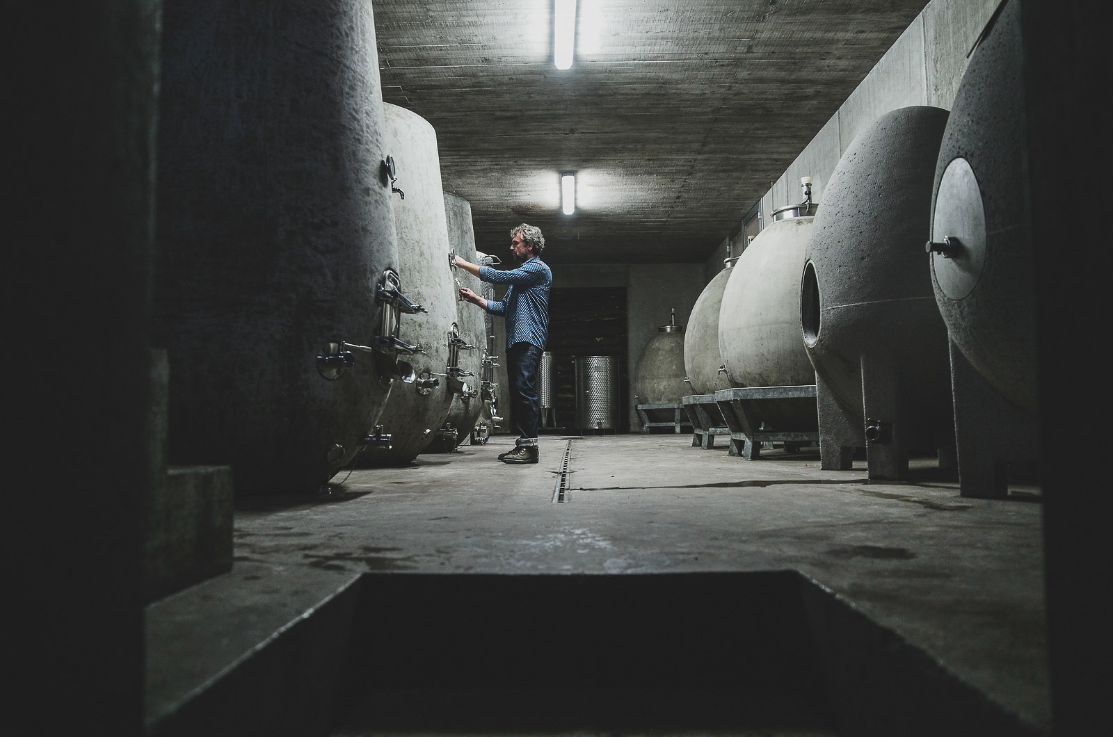 Winemaker checking his barrels in a wine cellar in Vipava, Slovenia