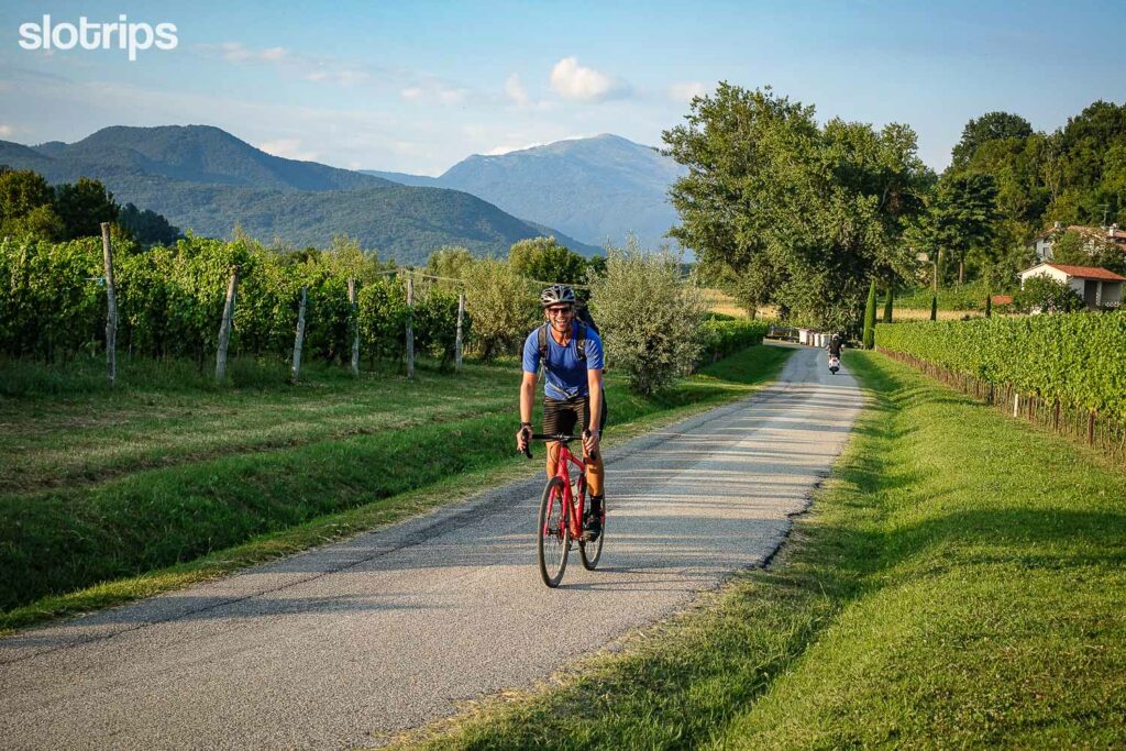 Biking the wine roads on the Alpe Adria journey near Cividale del Friuli