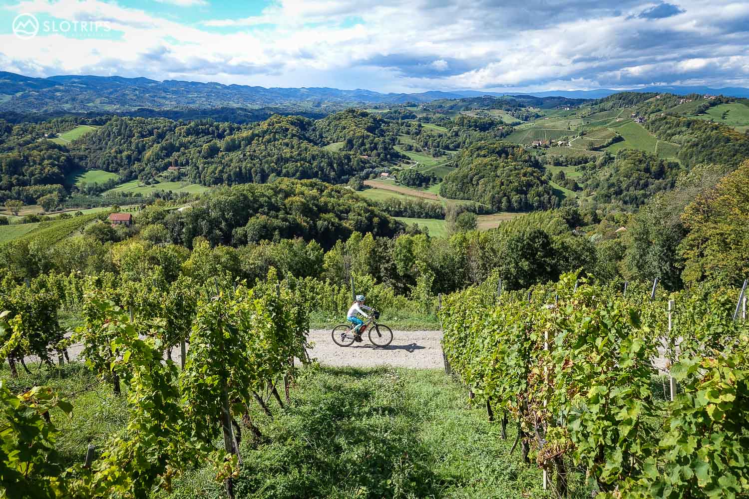E-biking the wine roads of Styria in north-eastern Slovenia
