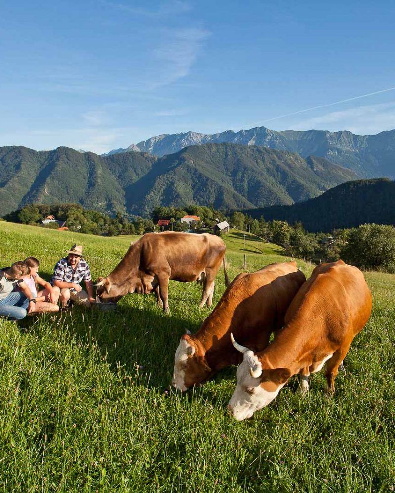 Farm holidays in Slovenia