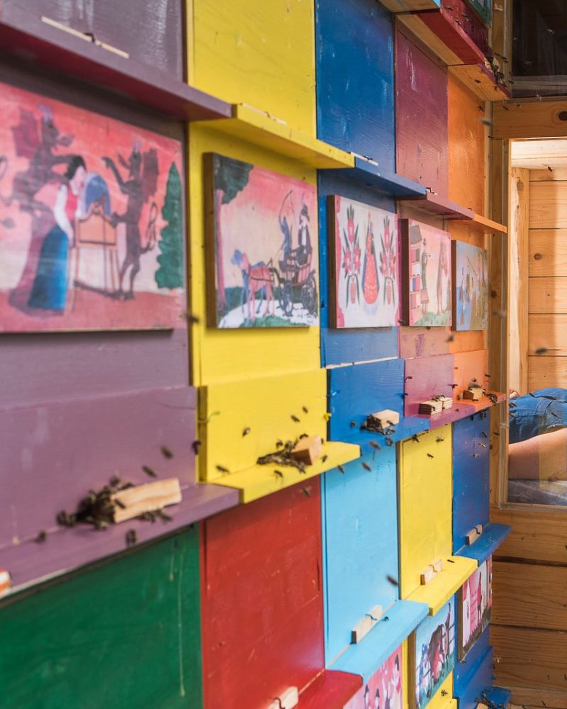 A female enjoying apitherapy in a traditional Slovenian beehive in Bled, Slovenia