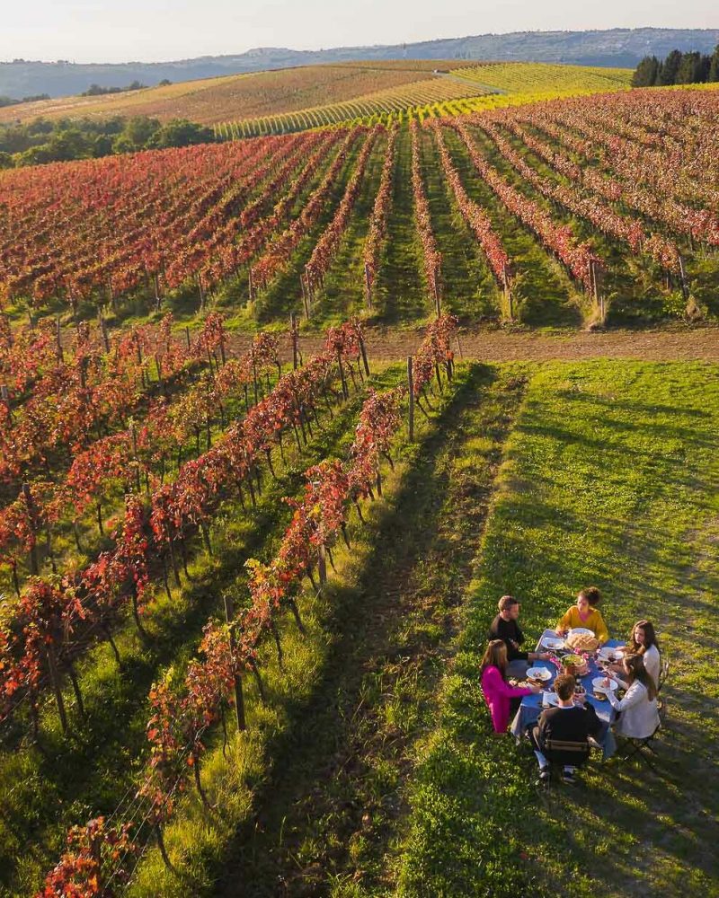 Dining in the vineyards in Slovenian Istria