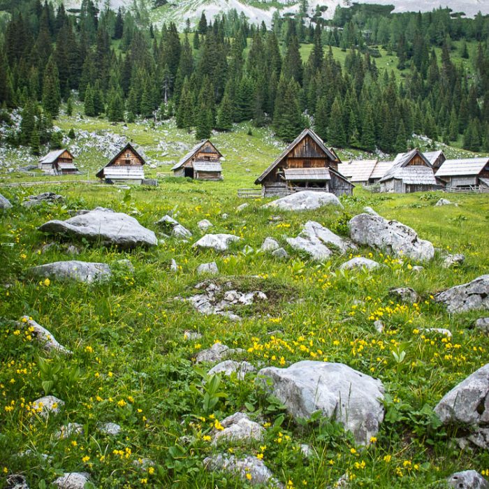 Traditional shepherd's huts in Triglav National Park, Slovenia