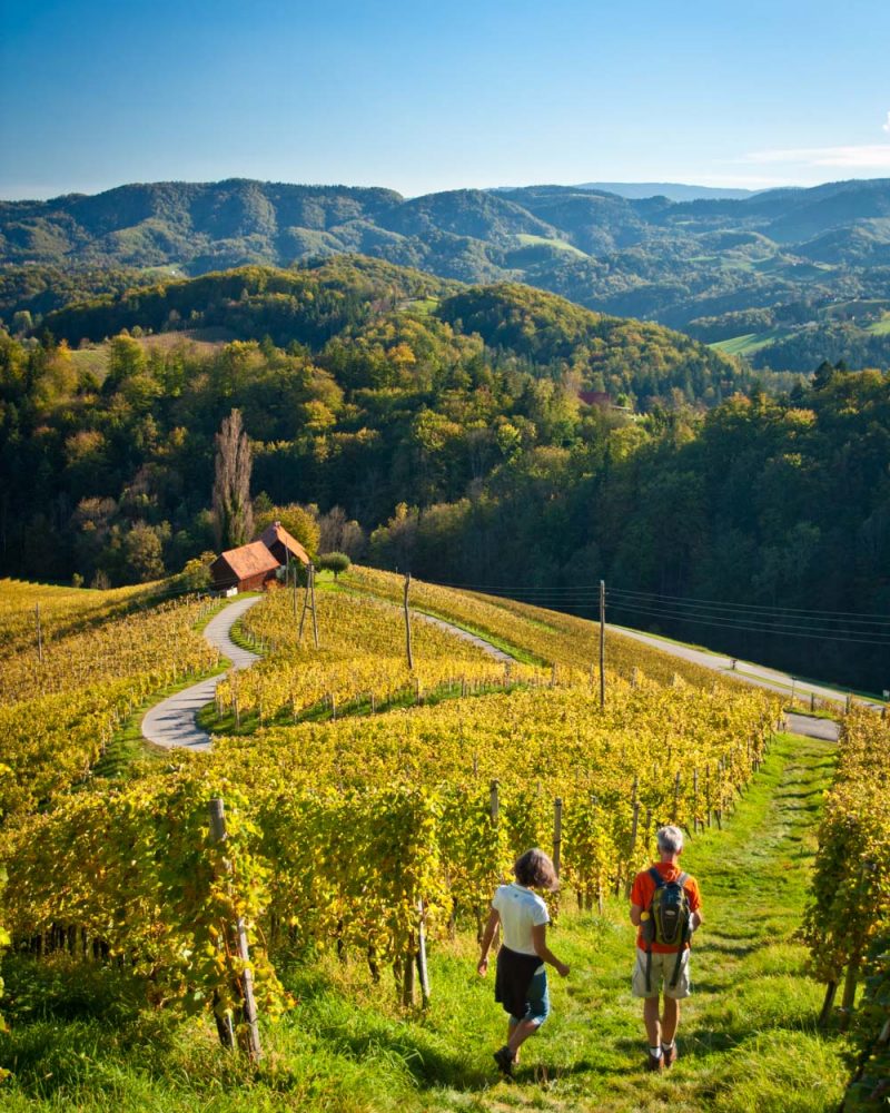Walking in the wine region of Styria, Slovenia