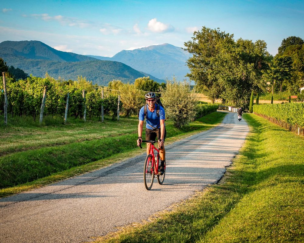 A gravel biker standing on the paddles and riding through a vineyard.